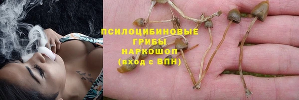 MDMA Михайловск