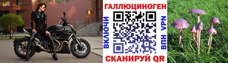 Псилоцибиновые грибы Magic Shrooms Щёкино